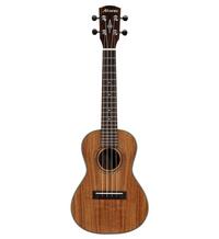 Alvarez Guitars RU90CP