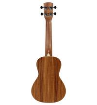 Alvarez Guitars RU90CP