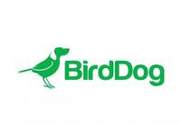 BirdDog BD-X4-WM-W