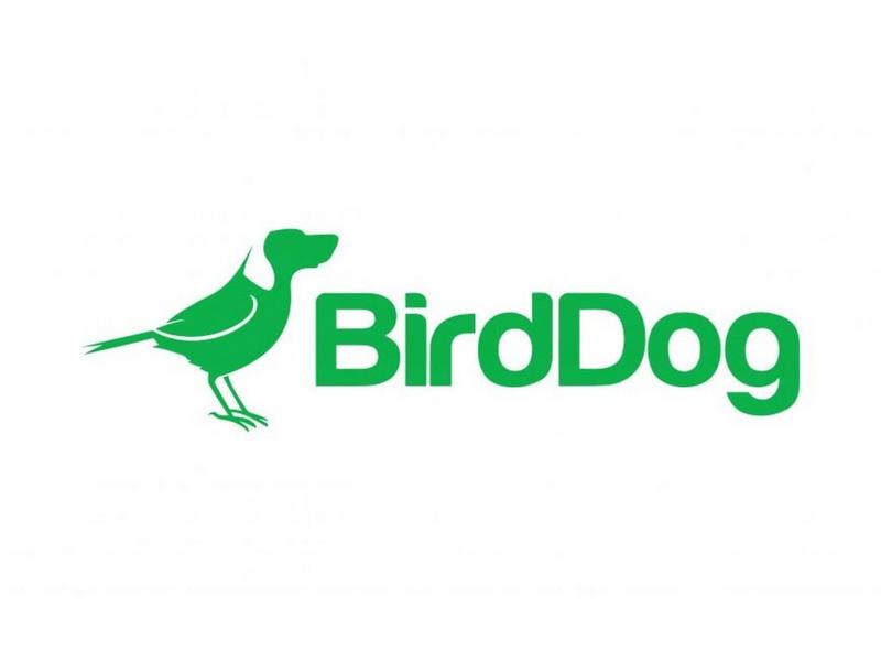 BirdDog BD-X4-WM-W