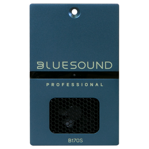 Bluesound Professional B170S 1-Zonen Netzwerk Player