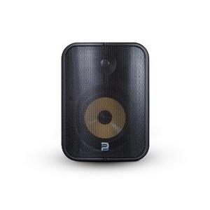 Bluesound Professional BSP1000 6.5"  Netzwerk PoE++ Lsp. (schwarz)