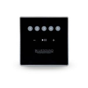 Bluesound Professional CP100 8"-Netzwerk Subwoofer (schwarz)