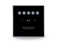 Bluesound Professional CP100 8"-Netzwerk Subwoofer (schwarz)