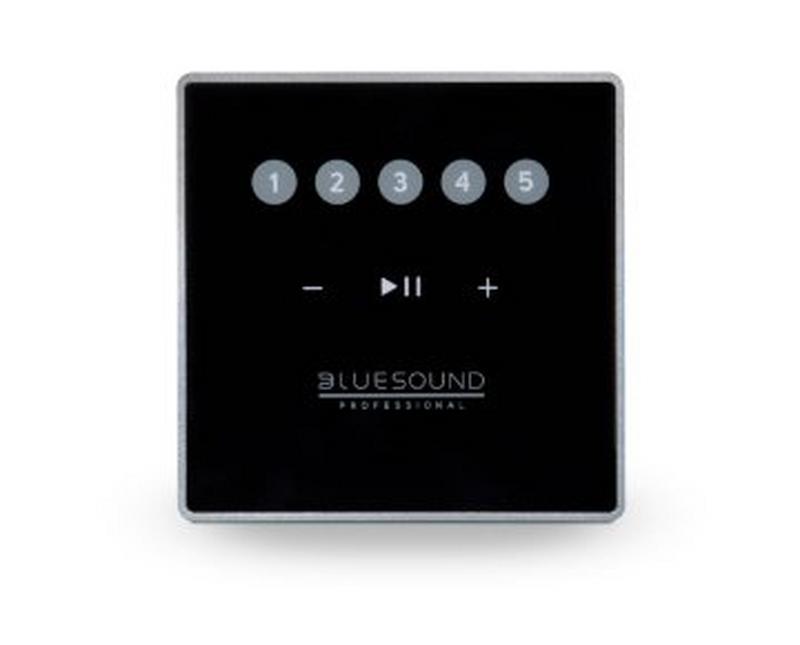 Bluesound Professional CP100 8"-Netzwerk Subwoofer (schwarz)