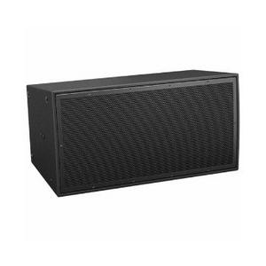Bose Professional ARENAMATCH AMWG1060-PAIR
