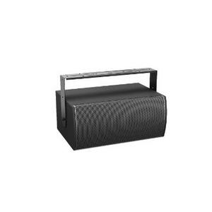 Bose Professional MB210WR