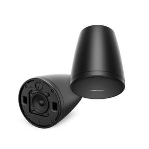 Bose Professional FREESPACE FS2P-PAIR BK