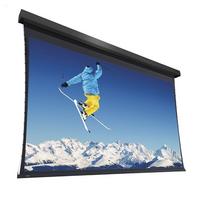 Da-Lite Extensa el. LW, 244x390, HD 1.0
