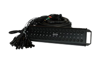 Digiflex HE24-8X-100
