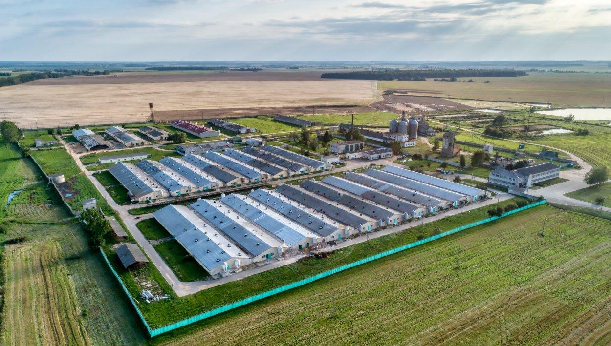 Aerial view of a farm