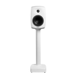Genelec 6040BRWM