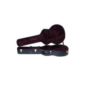 Heritage EAGLE-GUITAR-CASE