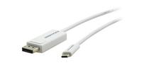 Kramer C-USBC/DPM-6