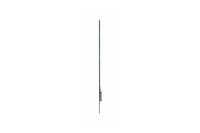 LG 30EW5TP-A 30" OLED, Display, transparent