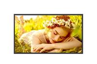 LG 32UL5Q-M 32" Display, FHD