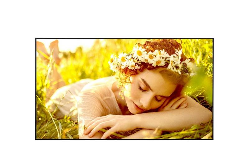 LG 50UL5Q-M 50" Display, UHD