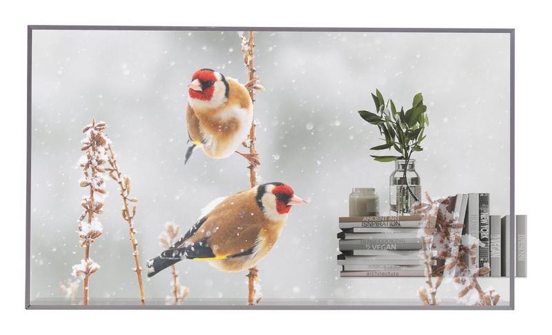 LG 55EW5P-M