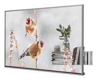 LG 55EW5P-M