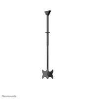 Neomounts Dual monitor/TV mount ceiling 23-43" h 106-156cm, Black