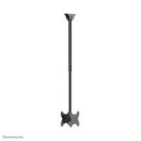 Neomounts Dual monitor/TV mount ceiling 23-43" h 106-156cm, Black