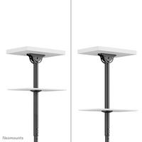 Neomounts Dual monitor/TV mount ceiling 23-43" h 106-156cm, Black