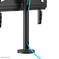 Neomounts TV stand 32-55" boltdown  swivel