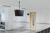 Neomounts Dual monitor/TV mount ceiling 32-75"  h 106-156 cm