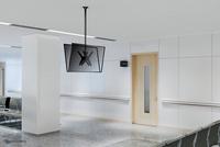 Neomounts Dual monitor/TV mount ceiling 32-75"  h 106-156 cm