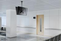 Neomounts Dual monitor/TV mount ceiling 32-75"  h 106-156 cm