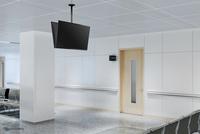 Neomounts Dual monitor/TV mount ceiling 32-75"  h 106-156 cm