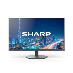 Sharp MultiSync DD-E244FL