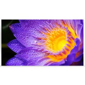 Sharp LD-EC151-H-135-NP FHD Bundle No Powerbar Indoor LED 1,5mm ECSeries 135" Full-HD Bundle