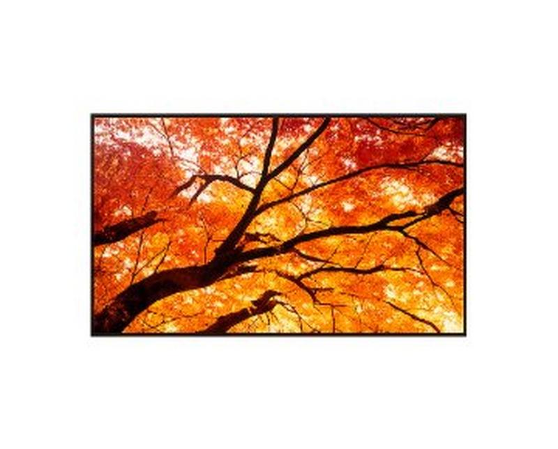Sharp MultiSync M322 32" M-Series Large Format Display, FHD