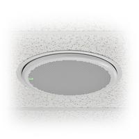 Shure MXA901W-R