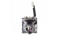 ViewSonic RLC-117 Ersatzlampe fr PG705HD,PG705WU,PX727-4K,PX707-4K