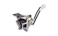ViewSonic RLC-117 Ersatzlampe fr PG705HD,PG705WU,PX727-4K,PX707-4K