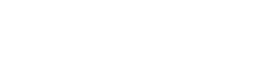 Aver Logo White