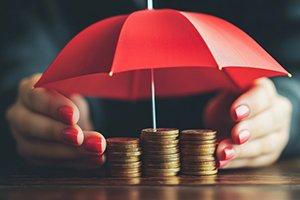 Income Protection Scheme