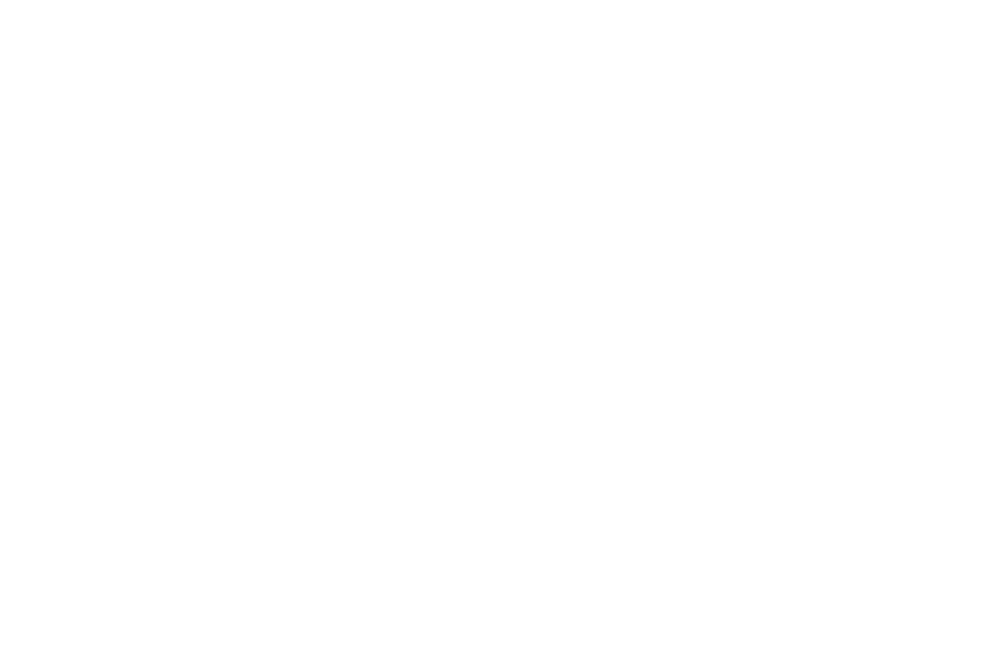 the logo for chavet professional services