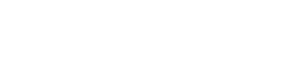 lg business solutions logo