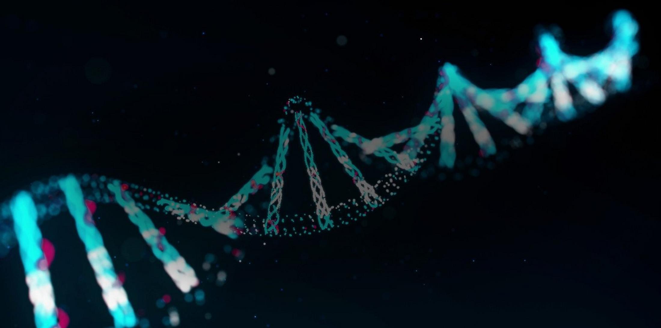 DNA helix