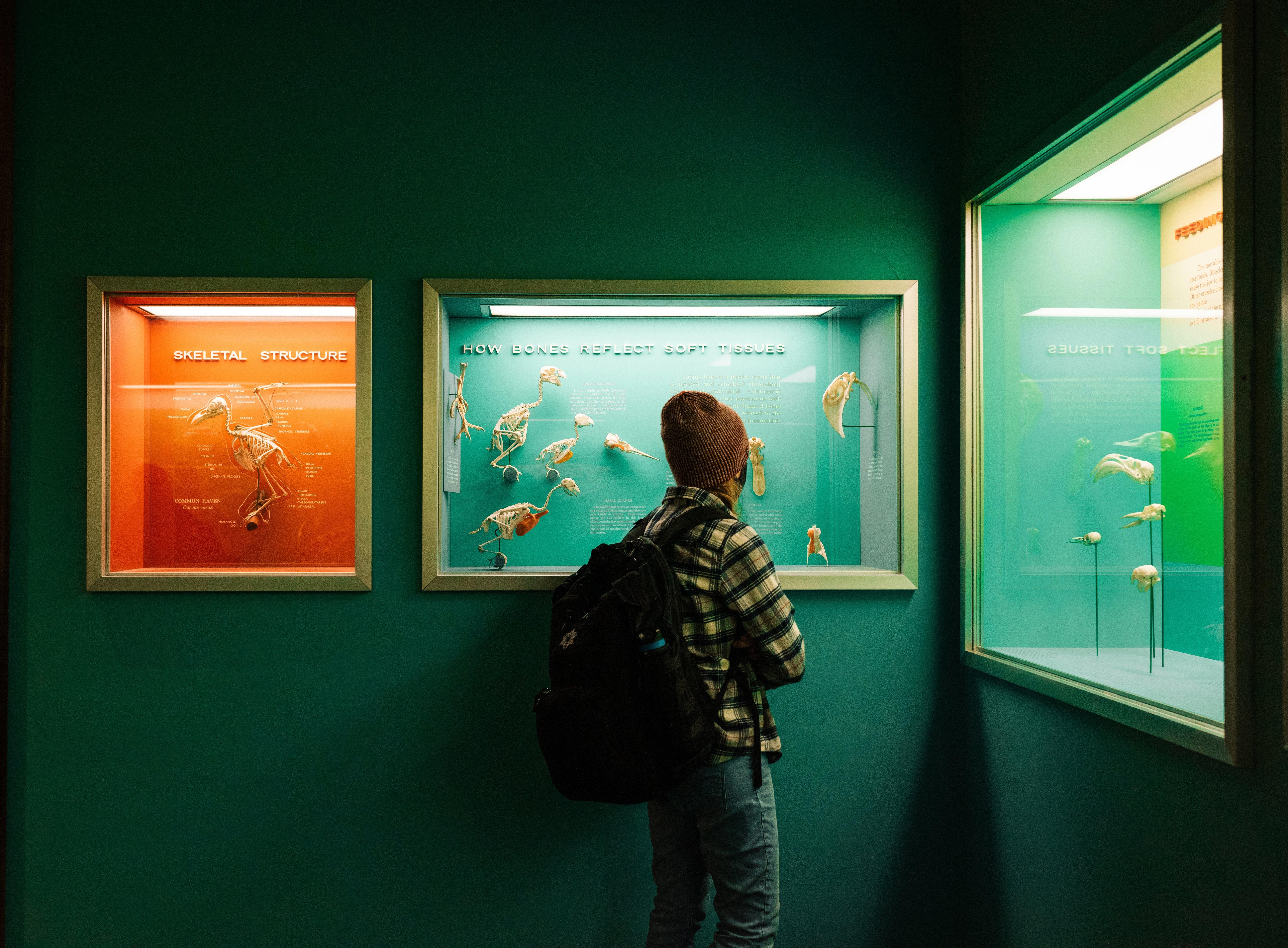 Soluzioni Audio Video e Controllo per Musei ed Esposizioni