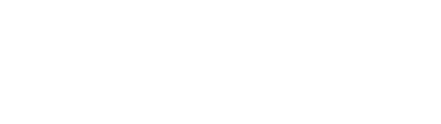 SurgeX