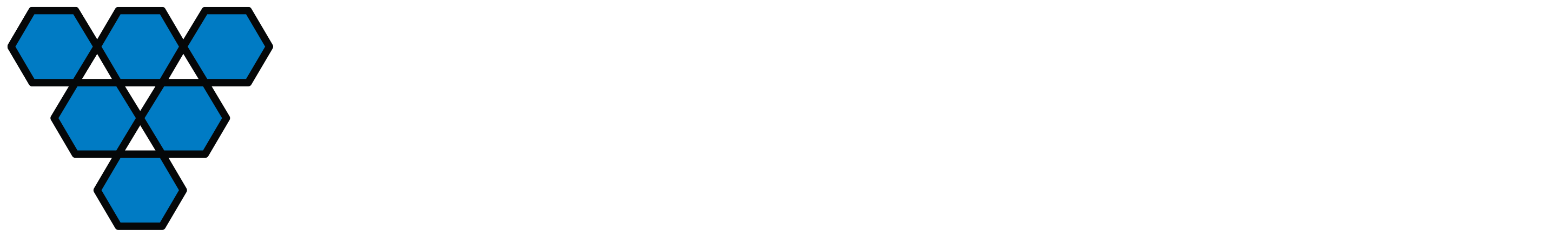 Visionary Solutions