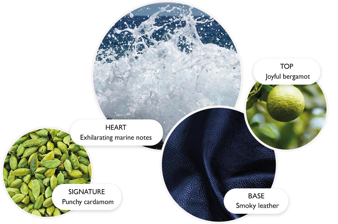 An image of Molton Brown, Fragrance Pyramid, Coastal Cyprus & Sea Fennel, EDP.