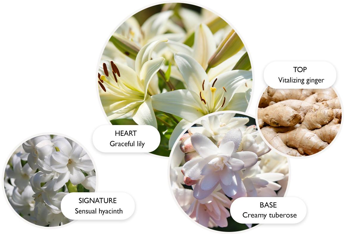 Heavenly Gingerlily Perfume | Molton Brown® US