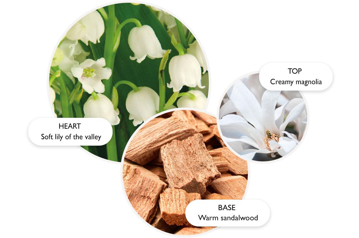 Lily & Magnolia Fragrance | Molton Brown® UK