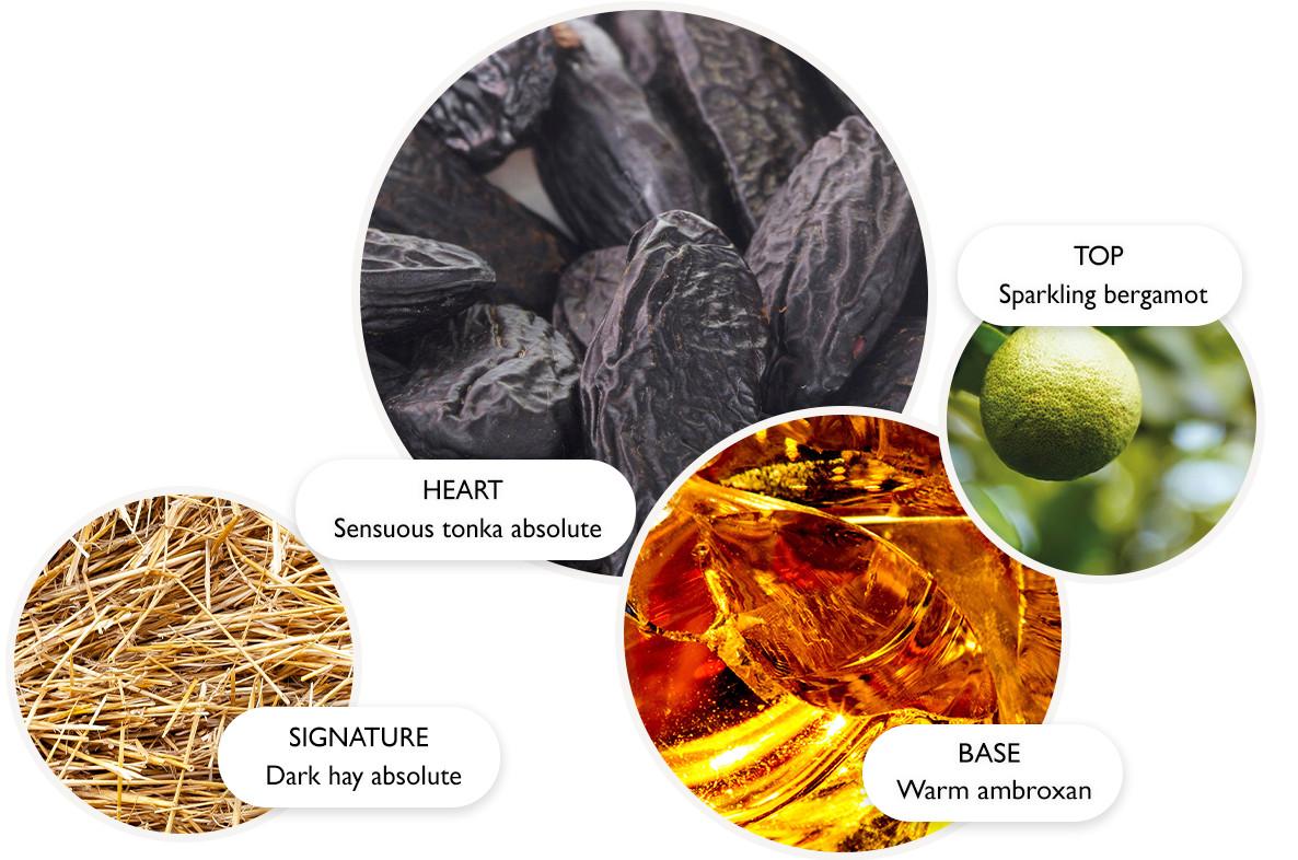 Neon Amber Fragrance | Molton Brown® US