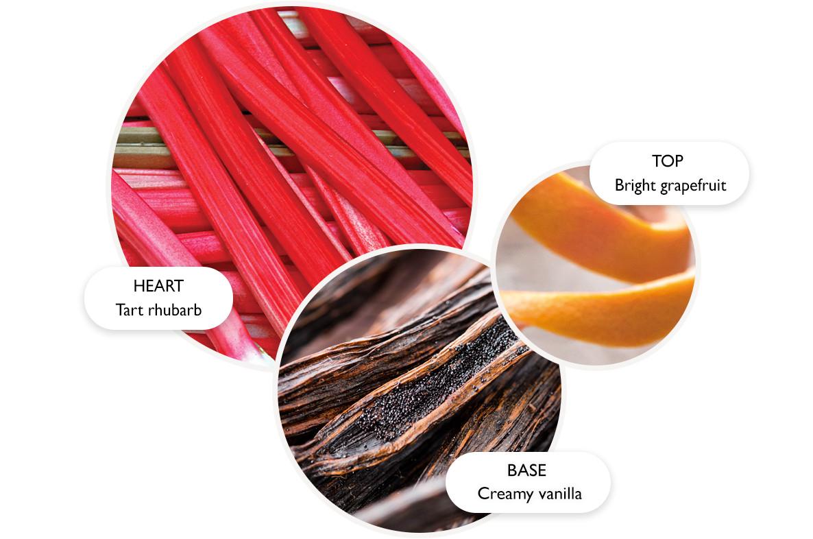 An image of Molton Brown, Fragrance Pyramid , Rhubarb & Rose, EDT.